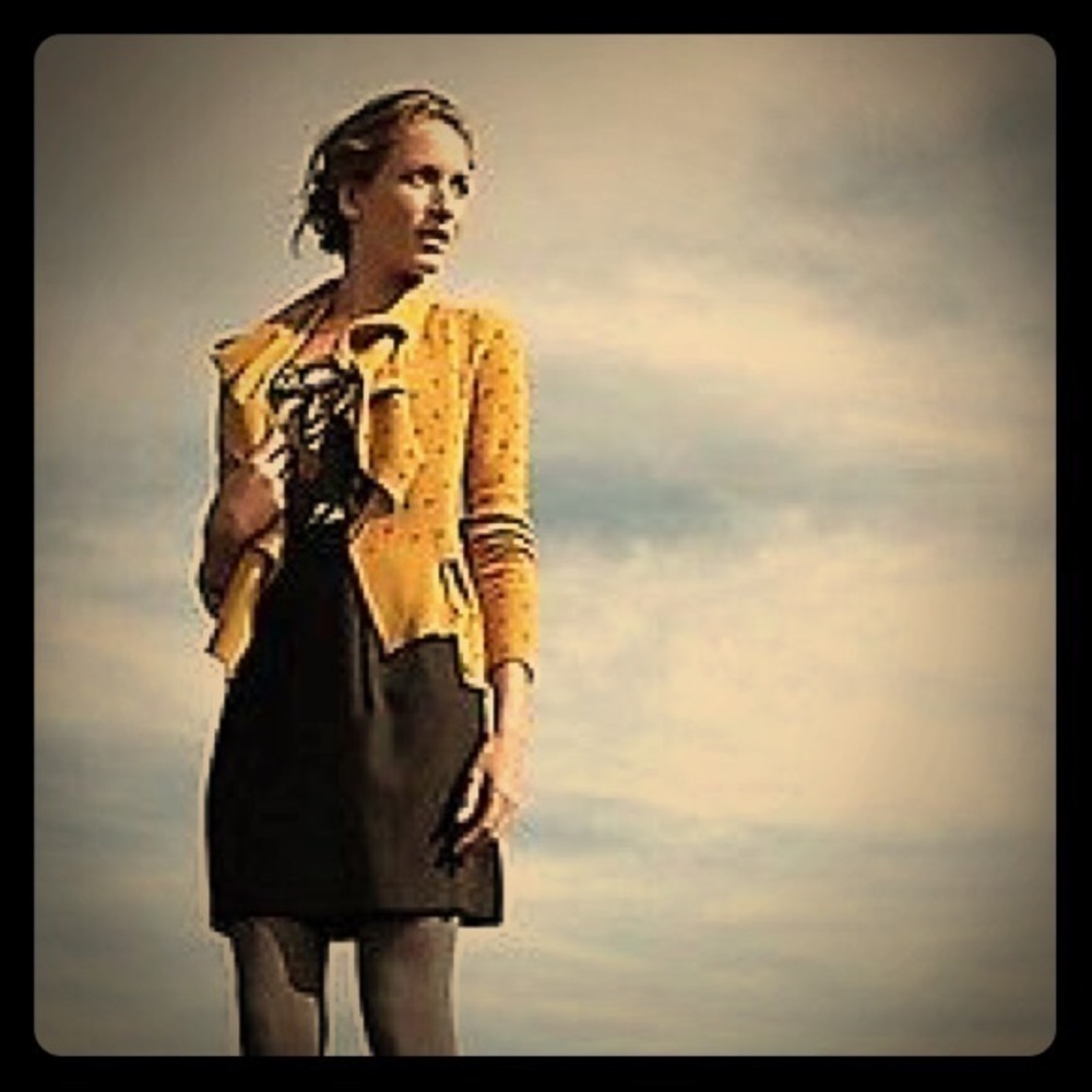 Anthropologie wool and satin dress